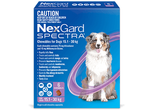 NexGard Spectra Chewables For Dogs Purple 15.1-30kg; Single Chew