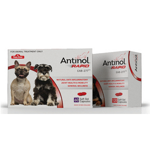 Antinol Rapid 60 Gel Capsules