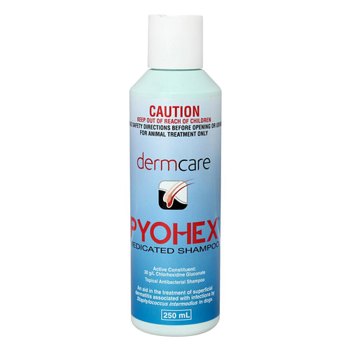 Dermcare Pyohex Medicated Shampoo 250ml