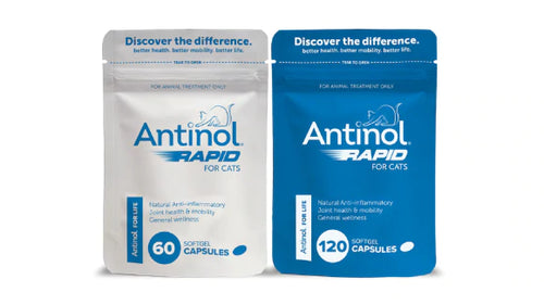 Antinol Rapid for Cats 60 Soft Gel Capsules