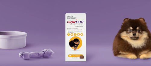Bravecto 3 Month Chewable Tablet For Very Small Dogs 2-4.5kg