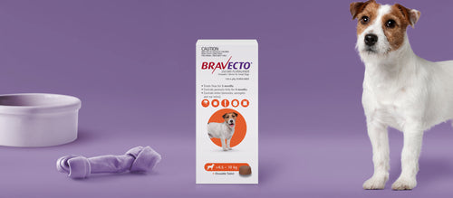Bravecto 3 Month Chewable Tablet For Small Dogs 4.5-10kg