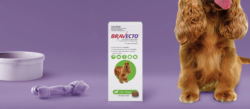 Bravecto 3 Month Chewable Tablet For Medium Dogs >10-20kg
