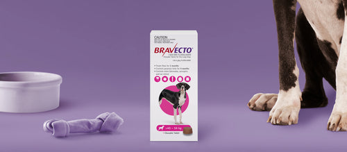 Bravecto 3 Month Chewable Tablet For Very Large Dogs >40-56kg