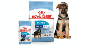Royal Canin Veterinary Diet Puppy