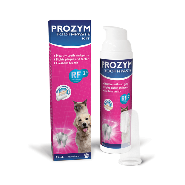 Prozym Toothpaste Kit 65ml